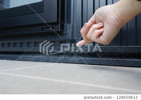 Spider webs attached to exterior walls and sashes 126650612