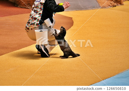 動物動作場面 126650810