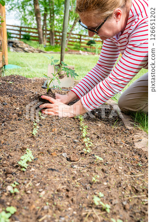 Spring planting 126651202