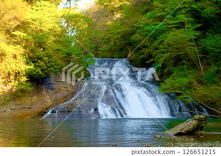 千葉縣栗俁瀑布 126651215