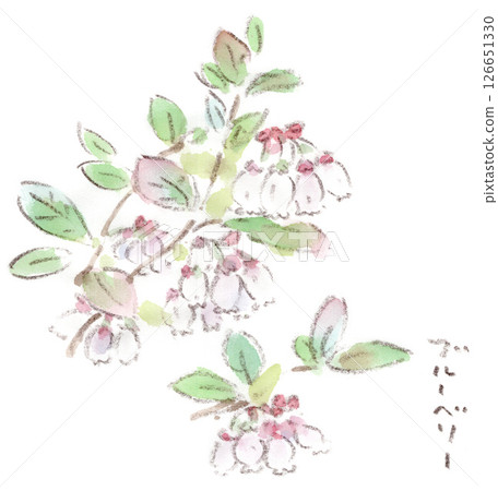春季植物,藍莓花水彩插圖 春季植物,藍莓花水彩插圖 126651330