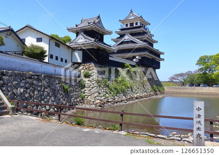 Nakatsu Castle's Honmaru castle tower, Daito turret, and Yagenbori moat (Nakatsu City, Oita Prefecture) 126651350