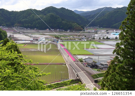 從越前大野城眺望的田園風光與路邊盛開的芝櫻(國道158號)(福井縣大野市) 從越前大野城眺望的田園風光與路邊盛開的芝櫻(國道158號)(福井縣大野市) 126651354
