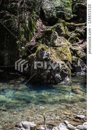 山梨縣西澤溪谷、溪流和岩石 山梨縣西澤溪谷、溪流和岩石 126651520