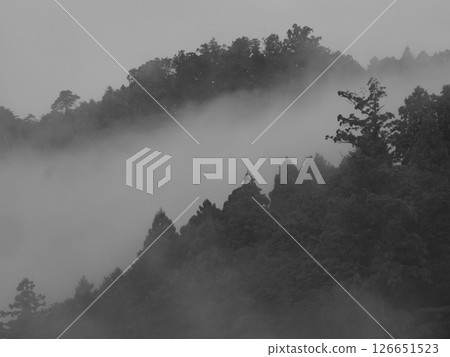 大量的訓練 大量的訓練 126651523