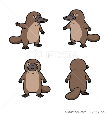 Platypus cartoon vector illustration set for tshirt print and craft designs ideal for projects 126651542