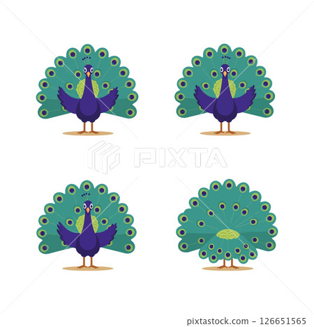 Peacock vector illustration with colorful feathers ideal for t-shirt printing and projects Peacock vector illustration with colorful feathers ideal for t-shirt printing and projects 126651565