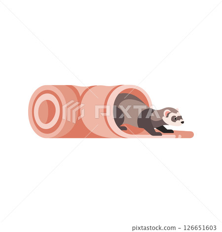 Ferret crawling out of tunnel vector illustration ideal for t-shirt printing and projects Ferret crawling out of tunnel vector illustration ideal for t-shirt printing and projects 126651603