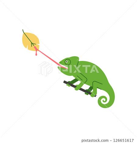 Chameleon with Long Tongue Catching Insect on Branch Ideal Vector Illustration for T-shirt Printing Projects Chameleon with Long Tongue Catching Insect on Branch Ideal Vector Illustration for T-shirt Printing Projects 126651617
