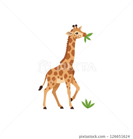Giraffe eating leaves vector illustration ideal for t-shirt and cup printing designs 126651624
