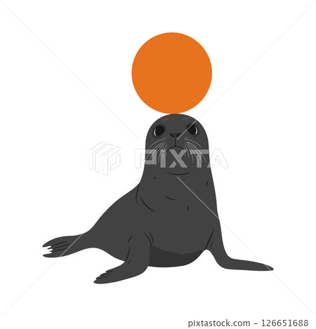 Seal balancing orange ball vector illustration for t-shirt prints and creative projects Seal balancing orange ball vector illustration for t-shirt prints and creative projects 126651688
