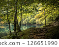 Beautiful ethereal forest and lake scene with autumn colours 126651990