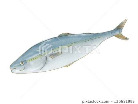 Watercolor hand-drawn style yellow 126651992