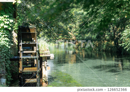 <Azumino> Spectacular view of the waterwheel and beautiful stream at Daio Wasabi Farm <Azumino> Spectacular view of the waterwheel and beautiful stream at Daio Wasabi Farm 126652366