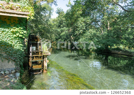 <安曇野>大王山葵農場的水車和美麗溪流的壯麗景色 126652368