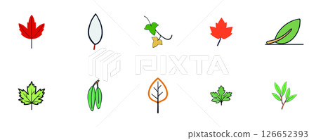 Colorful Leaf Collection Colorful Leaf Collection 126652393