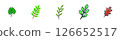 Set of Different Green Leaves 126652517