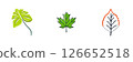 Set of simple green and autumn leaves 126652518