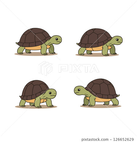Turtle vector illustration set ideal for t-shirt printing and craft projects with cute reptile designs 126652629