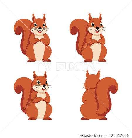 Cute red squirrel vector illustrations set for t-shirt printing and craft projects 126652636