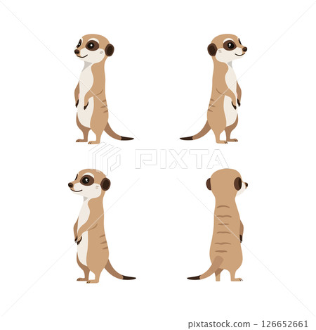 Meerkat standing different poses vector illustration for t-shirt and print projects ideal Meerkat standing different poses vector illustration for t-shirt and print projects ideal 126652661