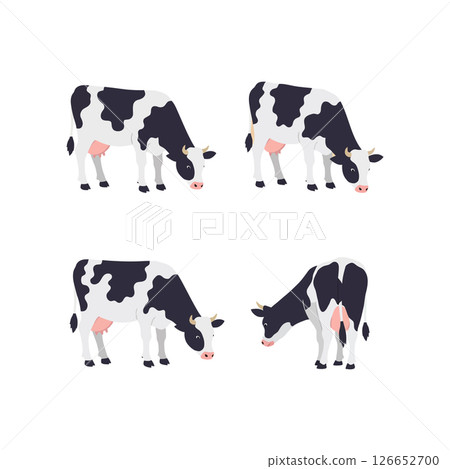 Holstein dairy cows grazing in multiple poses vector illustration for t-shirt print and graphic projects 126652700