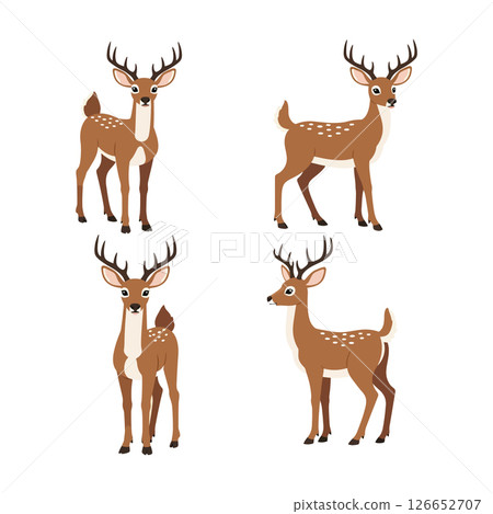 Deer vector illustration set with detailed antlers and natural brown colors for tshirt printing projects 126652707
