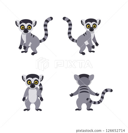 Ring-tailed lemur vector illustrations for t-shirt print and craft projects ideal design set Ring-tailed lemur vector illustrations for t-shirt print and craft projects ideal design set 126652714