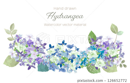 水彩畫的繡球花框架 水彩畫的繡球花框架 126652772