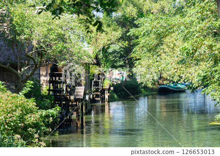 <Azumino> Spectacular view of the waterwheel and beautiful stream at Daio Wasabi Farm 126653013