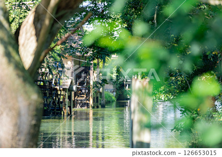 <Azumino> Spectacular view of the waterwheel and beautiful stream at Daio Wasabi Farm <Azumino> Spectacular view of the waterwheel and beautiful stream at Daio Wasabi Farm 126653015