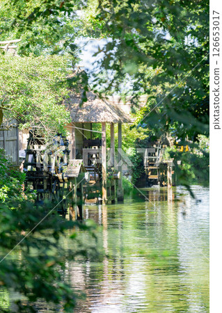 <Azumino> Spectacular view of the waterwheel and beautiful stream at Daio Wasabi Farm <Azumino> Spectacular view of the waterwheel and beautiful stream at Daio Wasabi Farm 126653017