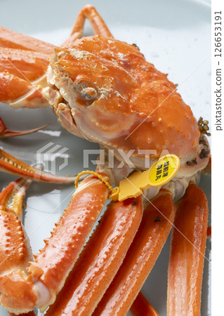 [Fukui Prefecture] Winter delicacy: Echizen crab 126653191