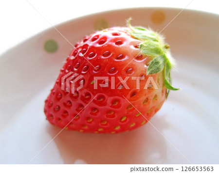 盤子上放著一顆帶莖的草莓 盤子上放著一顆帶莖的草莓 126653563