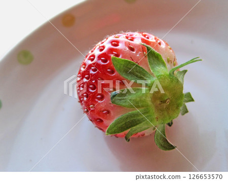 A single strawberry with stem on a plate A single strawberry with stem on a plate 126653570