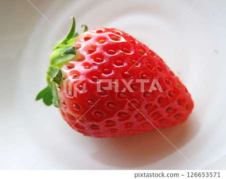 A single strawberry with stem on a plate A single strawberry with stem on a plate 126653571