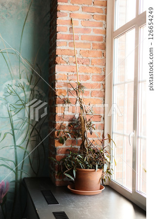 A beautifully dried plant is situated within a cozy brick corner, providing warmth and tranquility A beautifully dried plant is situated within a cozy brick corner, providing warmth and tranquility 126654249