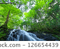 夏季「五助瀑布」岐阜縣加茂郡東白河村 126654439