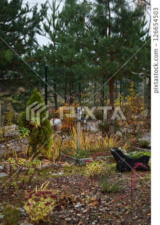 A Colorful Autumn Garden Featuring Evergreen Trees, Beautiful Decorative Elements, and More A Colorful Autumn Garden Featuring Evergreen Trees, Beautiful Decorative Elements, and More 126654503