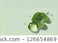 Natural image of CICA (Centella asiatica) and transparent gel/skin care ingredients/Moisturizing/Beauty/Cosmetics 126654869