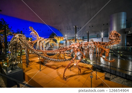 福井縣立恐龍博物館內景，福井縣勝山市 126654904