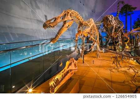 福井縣立恐龍博物館內景,福井縣勝山市 福井縣立恐龍博物館內景,福井縣勝山市 126654905