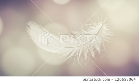 Delicate white feather floating against a soft pastel bokeh background 126655064