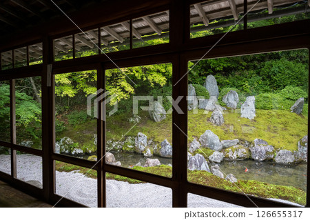 The beautiful greenery of Kanyo-ji Temple in early summer 126655317