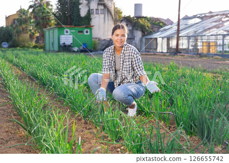 Young woman harvesting onions in field 126655742