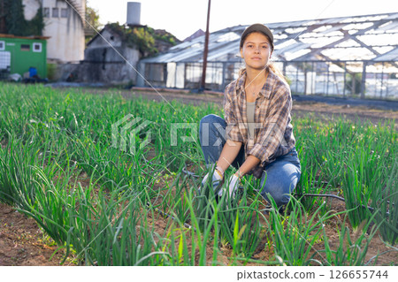 Young woman harvesting onions in field Young woman harvesting onions in field 126655744