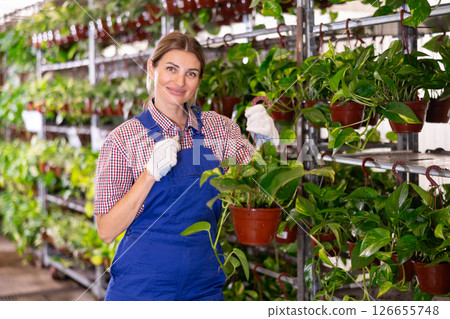 Adult female saleswoman with pot of pothos in plant store 126655748