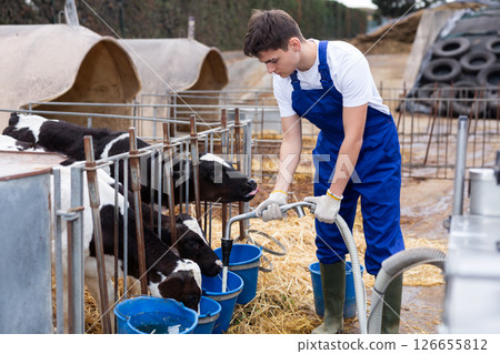 Young boy farmer giving water to calves on farm Young boy farmer giving water to calves on farm 126655812
