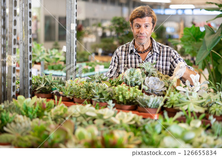 Male florist arranging potted succulents on rack in greenhouse 126655834