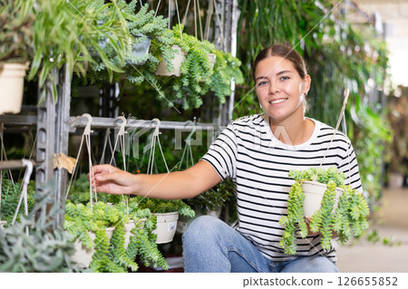 Young woman choosing sedum burrito in plant store Young woman choosing sedum burrito in plant store 126655852